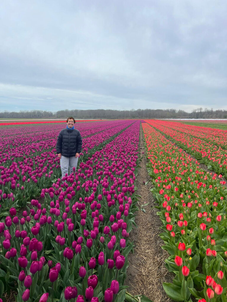 Voyager avec la sclérose en plaque parmi les champs de tulipes